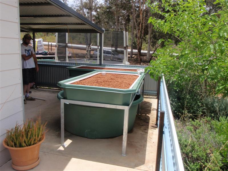 PC030014 (Medium).JPG