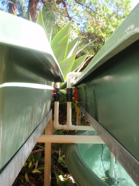 PC030030 (Medium).JPG