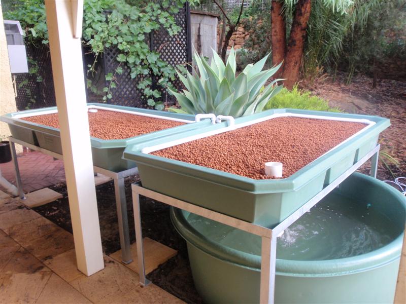 PC030034 (Medium).JPG