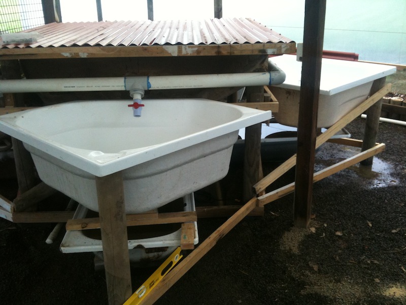 Growbed 4 going in.jpg