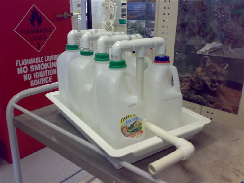 ABCD0008 (Medium).JPG