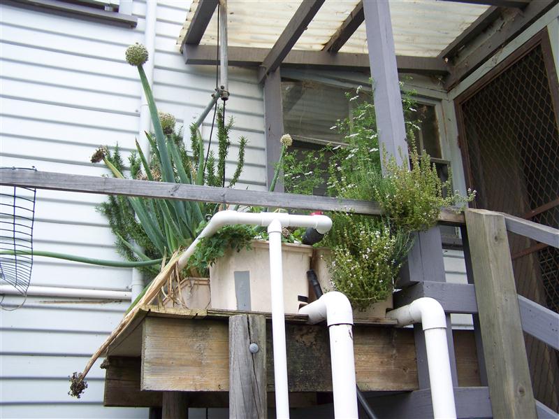 100_5665 (Custom).JPG