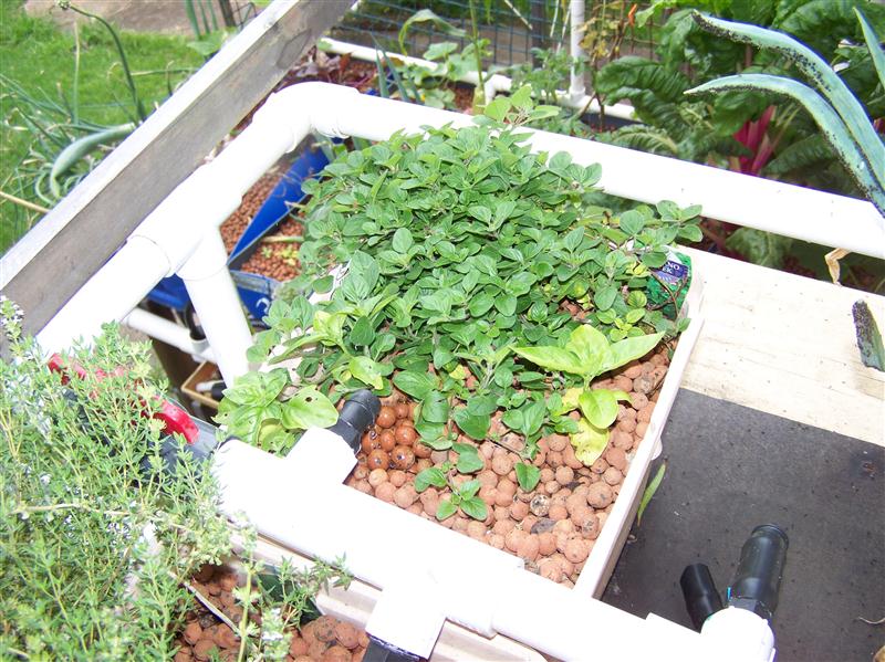 100_5667 (Custom).JPG