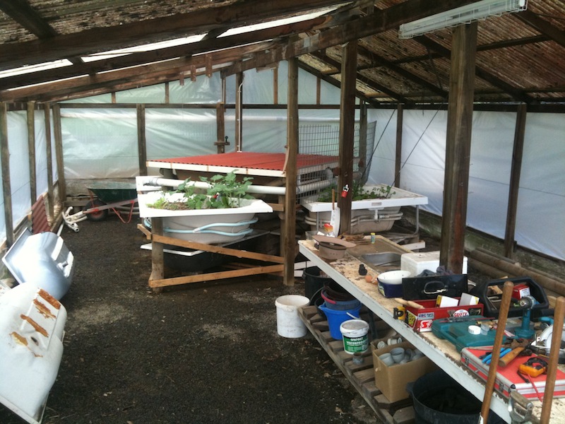 The Aquaponics Flower 1.jpg