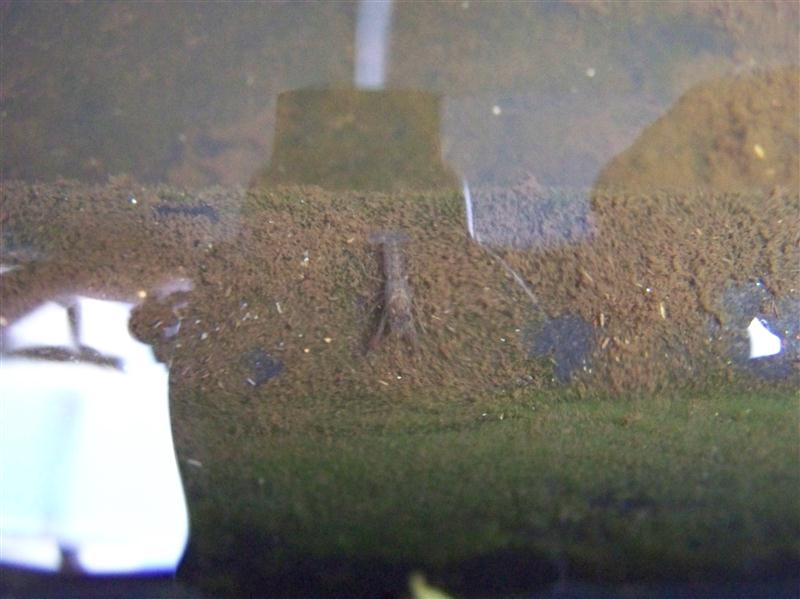 100_5669 (Custom).JPG