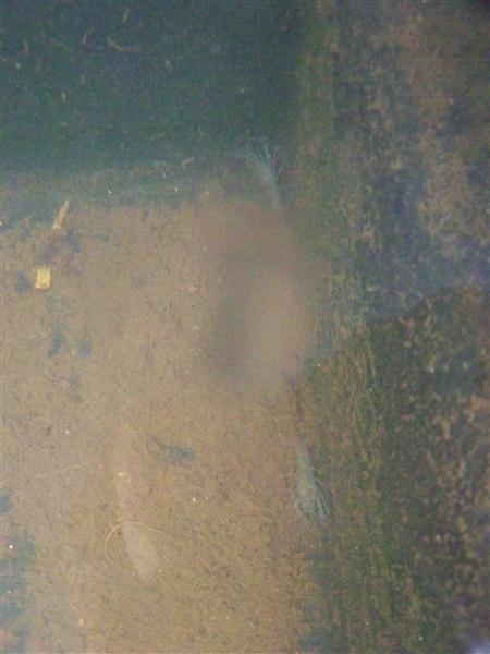 100_5671 (Custom).JPG