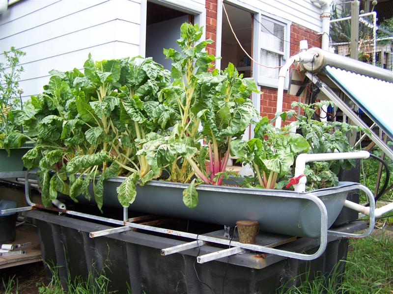 100_5660 (Custom).JPG