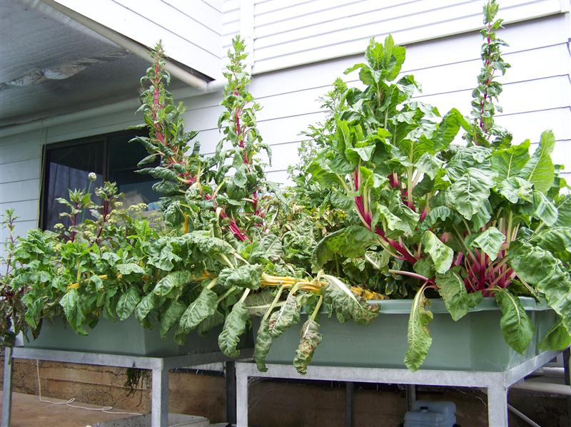 100_5662 (Custom).JPG