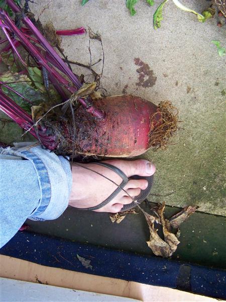 100_5674 (Custom).JPG