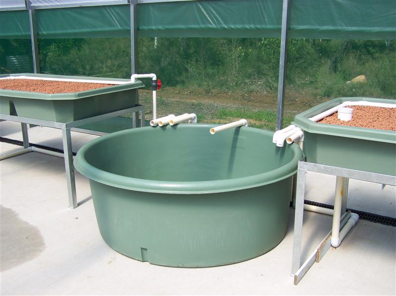 100_5693 (Custom).JPG