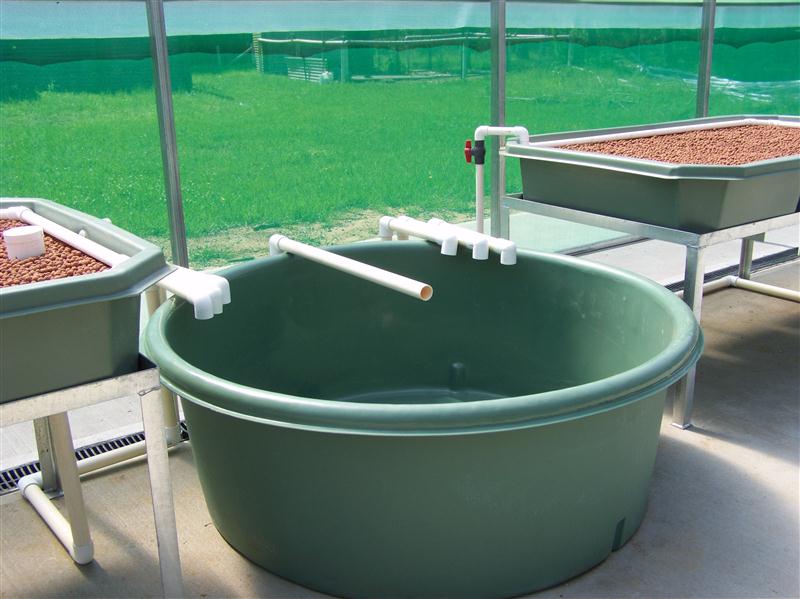 100_5694 (Custom).JPG