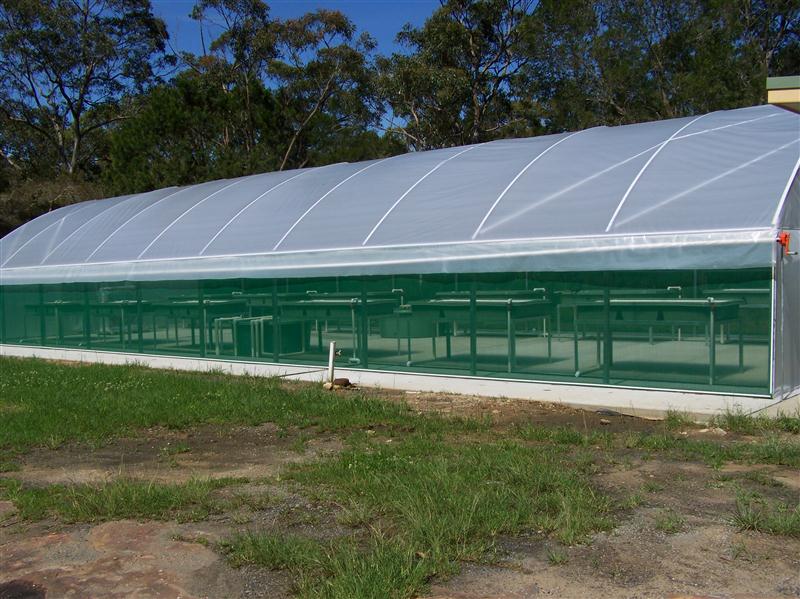 100_5701 (Custom).JPG