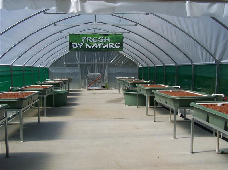 100_5702 (Custom).JPG