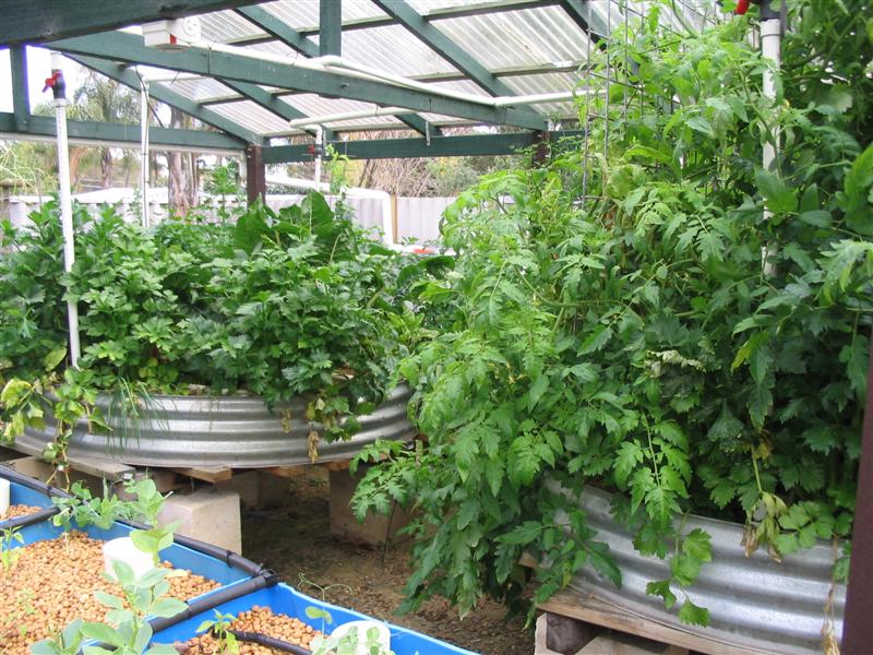 IMG_1888 (Medium).jpg