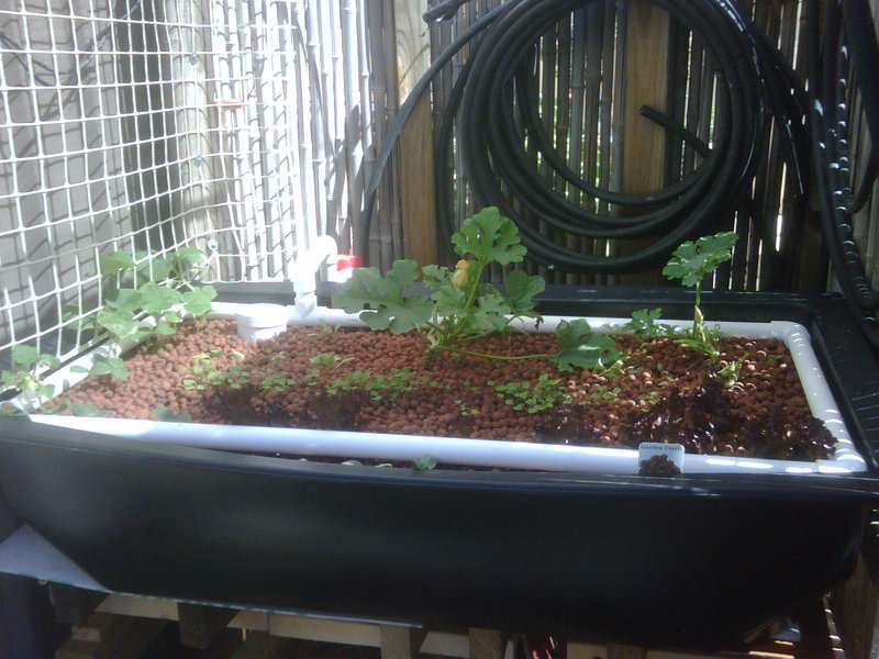 latest 200ltr GB.jpg