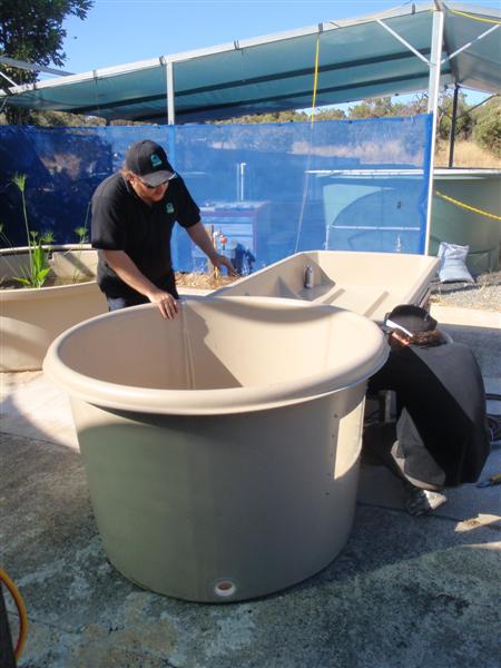 PC100043 (Medium).JPG