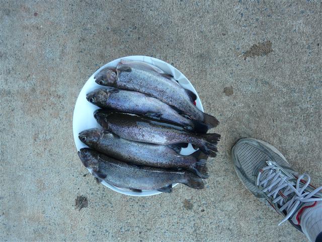 P1090964 (Custom).JPG