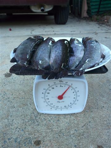 P1090965 (Custom).JPG