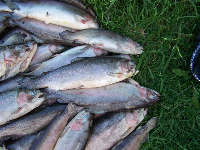 100_5733 (Custom).JPG