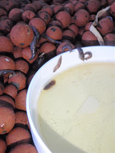 PC100062 (Medium).JPG