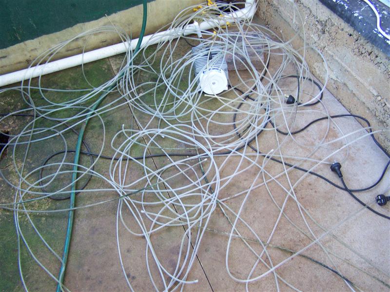 100_5738 (Custom).JPG