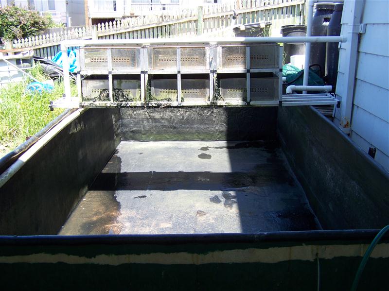 100_5736 (Custom).JPG