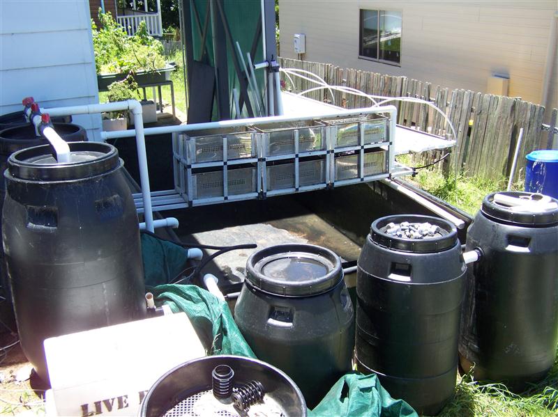 100_5740 (Custom).JPG