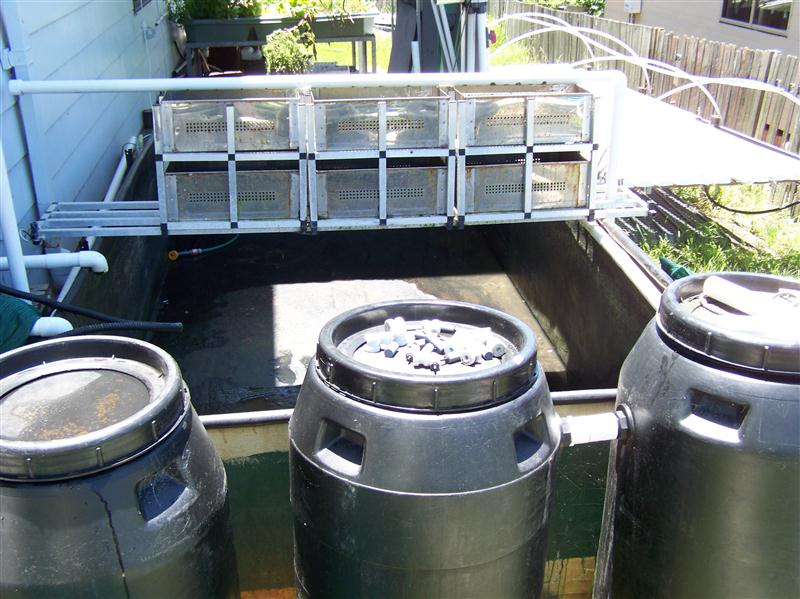 100_5741 (Custom).JPG