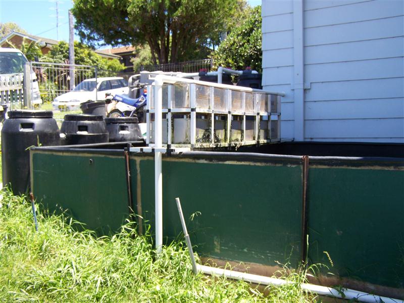 100_5744 (Custom).JPG