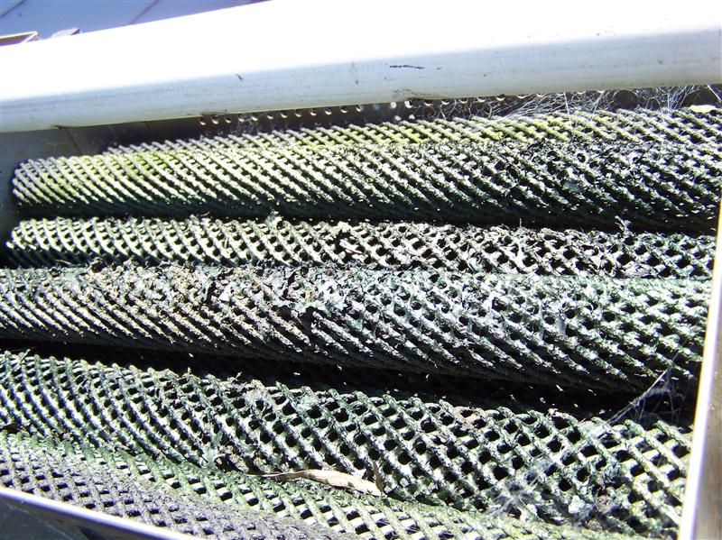 100_5743 (Custom).JPG