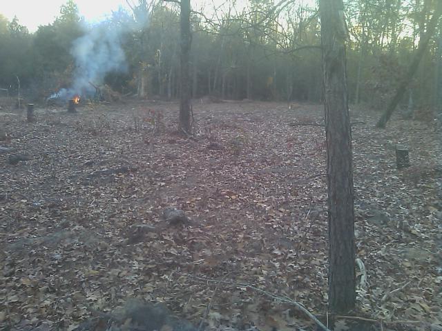 Mr. Bill's future AP area - middle.jpg