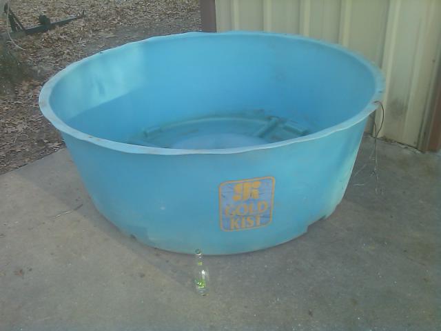 Some water in the bottom just to see if it leaks.jpg