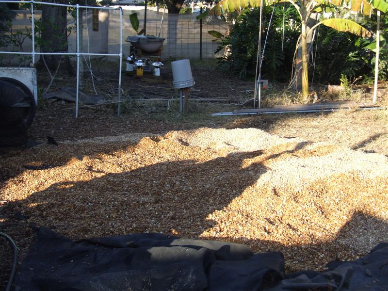 pile after party (Medium).JPG