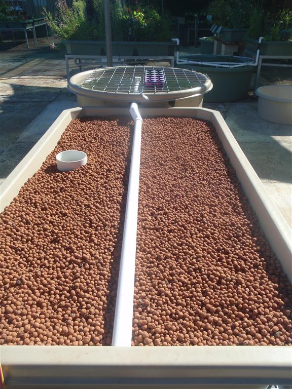 PC120637 (Medium).JPG