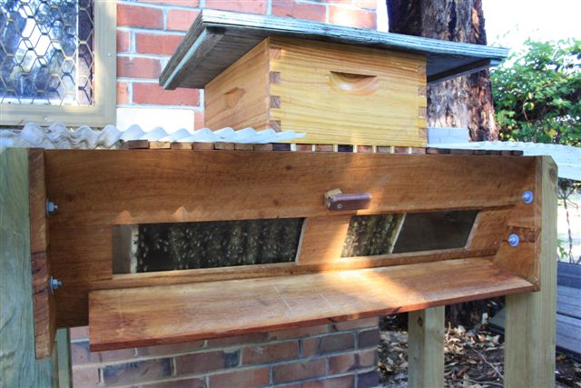 13December2010 023.jpg