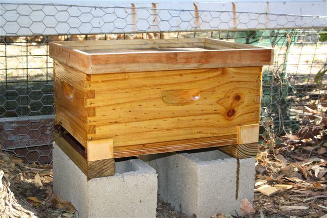 13December2010 020.jpg