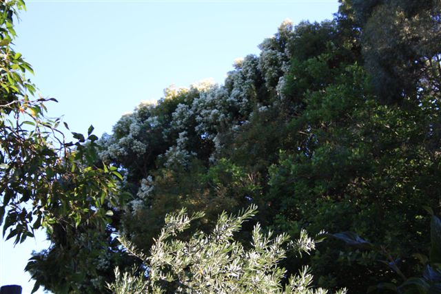 13December2010 024.jpg