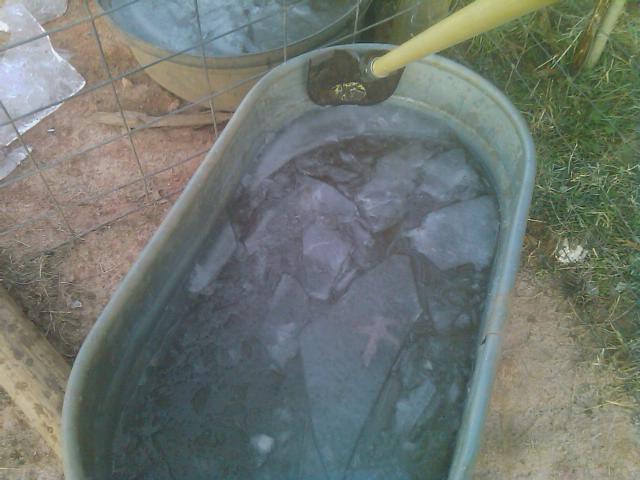 One reason I haven't started my NockyPod yet.jpg