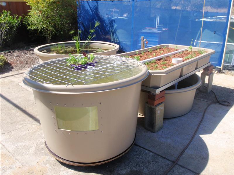 PC140110 (Medium).JPG