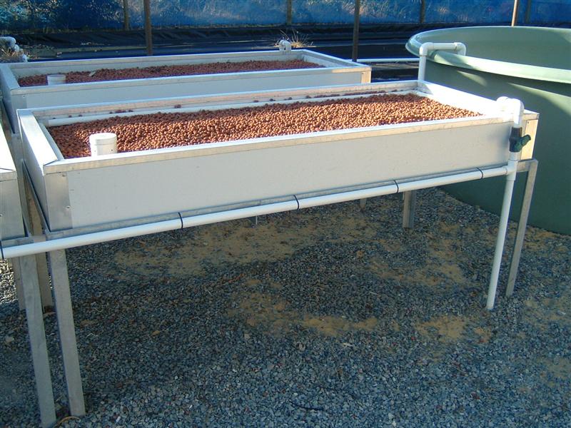 RP Growbed (Medium).JPG