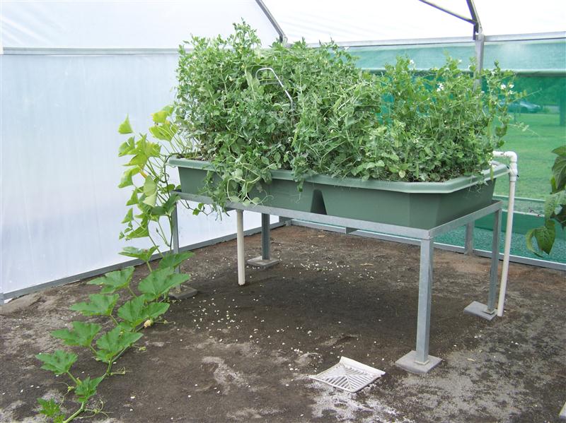 100_5761 (Custom).JPG