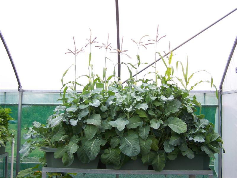 100_5767 (Custom).JPG