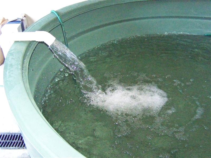 100_5772 (Custom).JPG