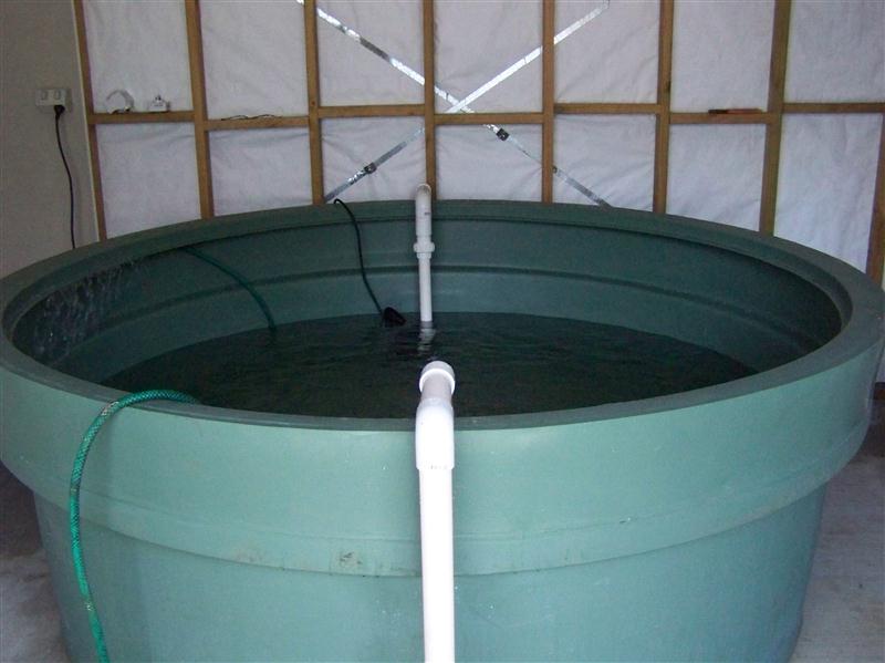 100_5773 (Custom).JPG