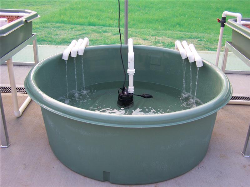 100_5775 (Custom).JPG