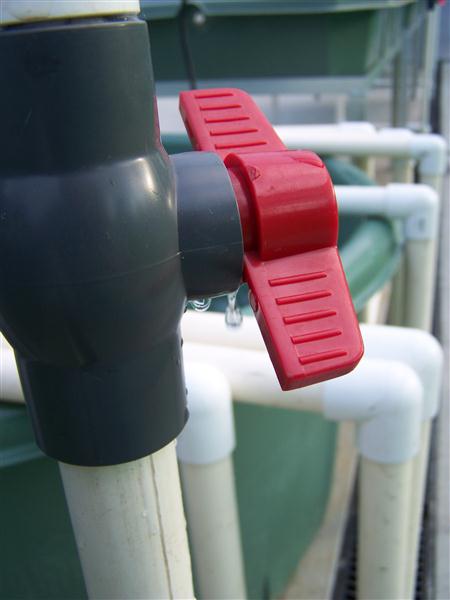 100_5776 (Custom).JPG