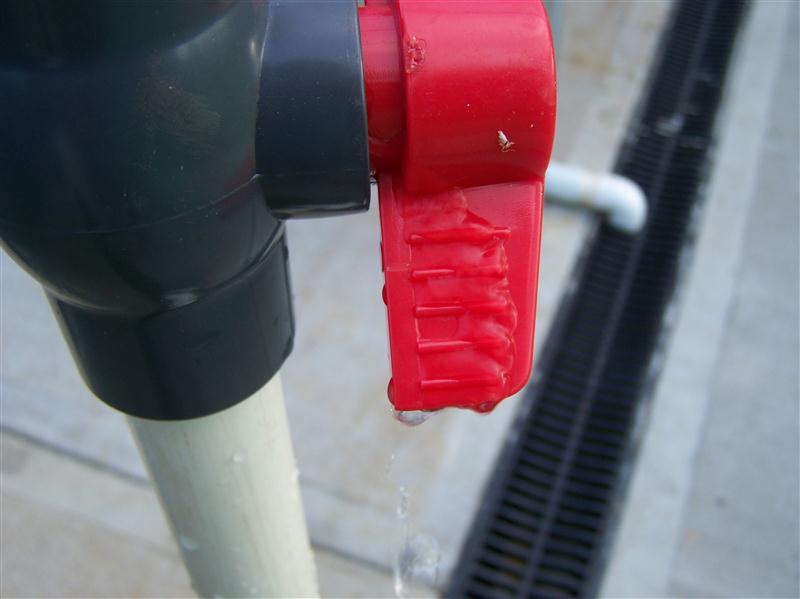 100_5778 (Custom).JPG