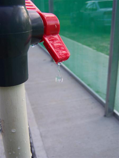 100_5780 (Custom).JPG