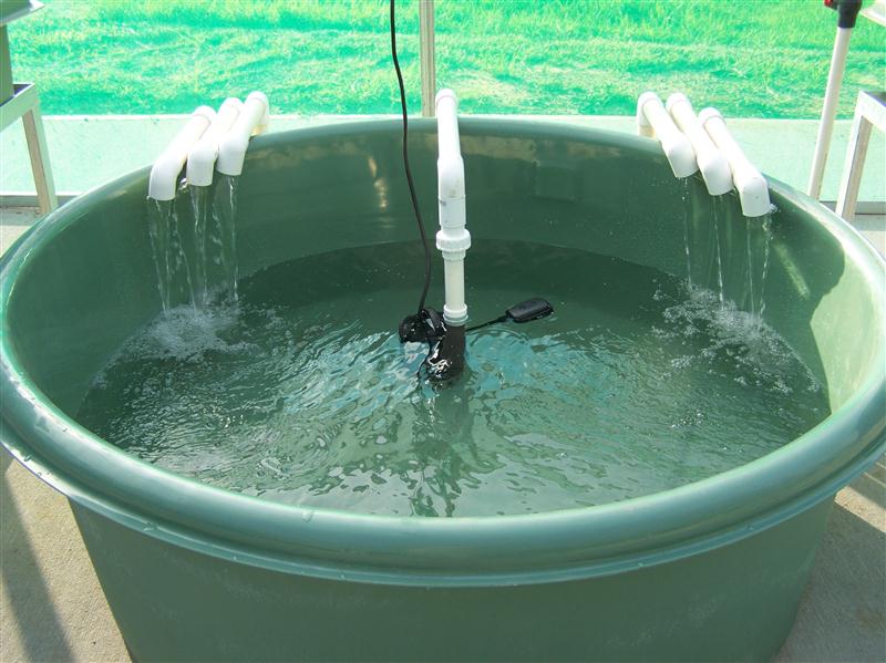 100_5782 (Custom).JPG