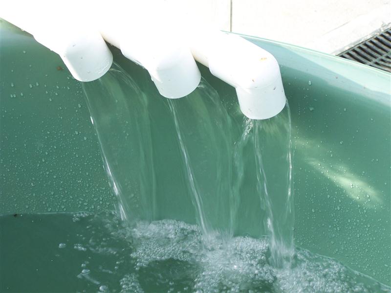 100_5783 (Custom).JPG